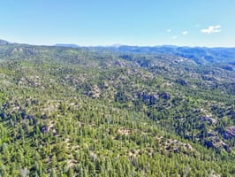 29457853