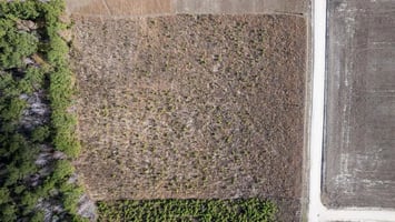 29457945