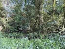 29458310
