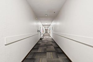 29459520