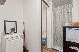 29459524