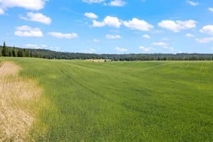 29459602