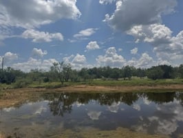 29459951