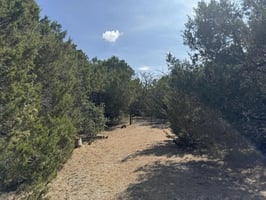 29459974