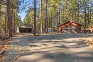 29461074