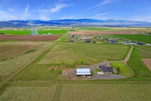 29461634