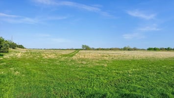 29462426