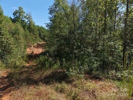 29462528