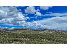 29463131