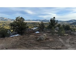 29463148