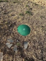 29463426