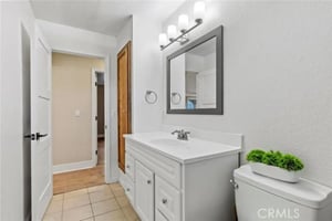 29463731