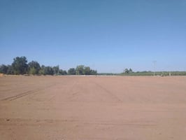29463825