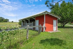 29464238