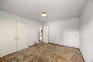 29464371