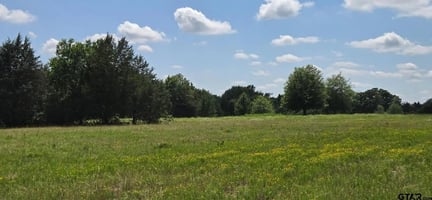 29464608