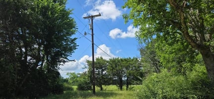 29464603