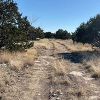 28924841