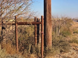 29464654