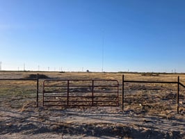 29464657