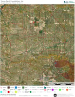 29464653