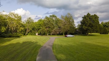 29464765