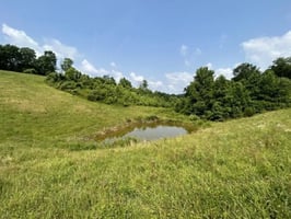 29464782