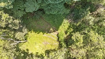 29465204