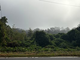 28932226