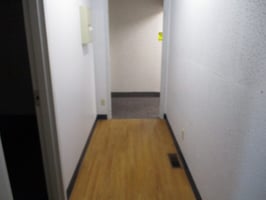 29110410
