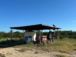 28938826