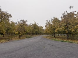 28948379