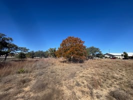 28954492
