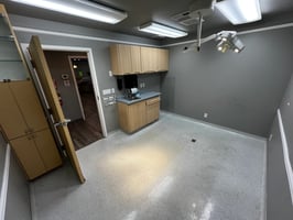 28949459