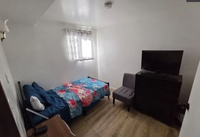 28948845