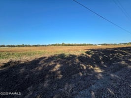 31347074