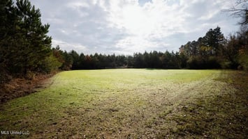 29454322