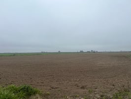 28981288