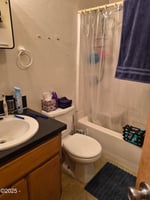 29427562