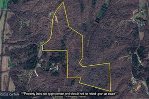 28952671