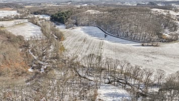 29007768
