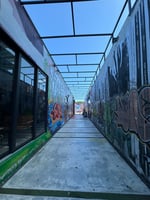 28957008