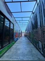 28957007