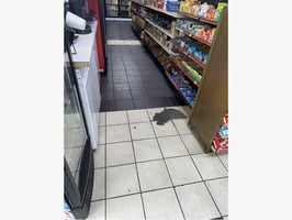 28957824