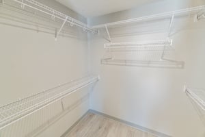 28957620
