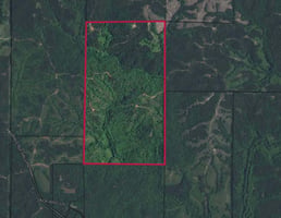 28968431