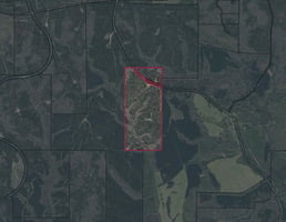 28969259