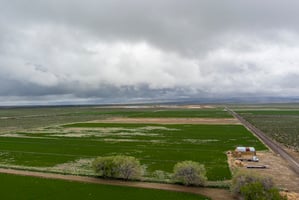 28971670