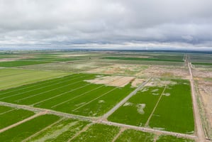 28971681