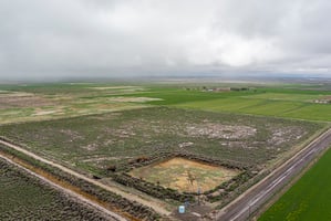 28971659